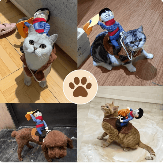 PawRider™ Cowboy Costume for Dogs & Cats