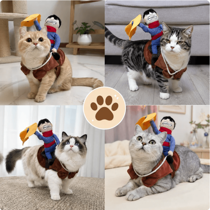PawRider™ Cowboy Costume for Dogs & Cats